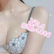 ヒメ日記 2025/09/24 10:09 投稿 せな 東京リップ 秋葉原店