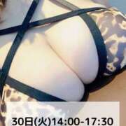 ヒメ日記 2025/09/28 14:00 投稿 よぞら☆可愛い史上最高峰Ｍ超美乳 PREMIUM萌え可愛いチョコレート～全てのステージで感動の体験を～