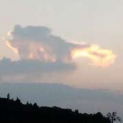 ヒメ日記 2025/09/01 15:00 投稿 池里 十恋人～トレンド～