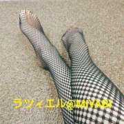 ヒメ日記 2025/11/22 01:45 投稿 奈々(なな) 変態clubラツィエル