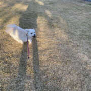 ヒメ日記 2025/01/17 21:00 投稿 ほたる 奥鉄オクテツ東京店（デリヘル市場）