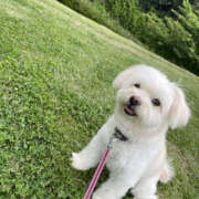 ヒメ日記 2025/03/09 11:00 投稿 ほたる 奥鉄オクテツ東京店（デリヘル市場）