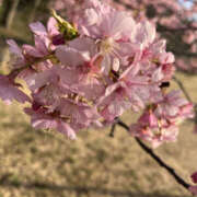 ヒメ日記 2025/03/14 11:00 投稿 ほたる 奥鉄オクテツ東京店（デリヘル市場）