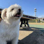 ヒメ日記 2025/03/28 12:00 投稿 ほたる 奥鉄オクテツ東京店（デリヘル市場）