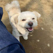 ヒメ日記 2025/03/30 12:05 投稿 ほたる 奥鉄オクテツ東京店（デリヘル市場）