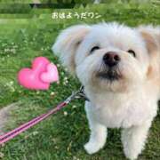 ヒメ日記 2025/04/02 09:30 投稿 ほたる 奥鉄オクテツ東京店（デリヘル市場）