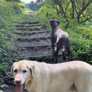 ヒメ日記 2025/04/08 08:10 投稿 ほたる 奥鉄オクテツ東京店（デリヘル市場）