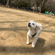 ヒメ日記 2025/04/12 10:00 投稿 ほたる 奥鉄オクテツ東京店（デリヘル市場）