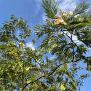 ヒメ日記 2025/06/16 21:00 投稿 ほたる 奥鉄オクテツ東京店（デリヘル市場）