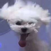 ヒメ日記 2025/06/20 09:30 投稿 ほたる 奥鉄オクテツ東京店（デリヘル市場）