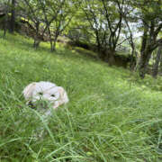 ヒメ日記 2025/07/10 09:35 投稿 ほたる 奥鉄オクテツ東京店（デリヘル市場）