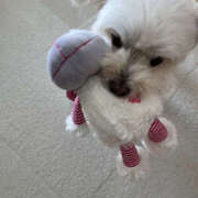 ヒメ日記 2025/07/25 09:30 投稿 ほたる 奥鉄オクテツ東京店（デリヘル市場）