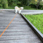 ヒメ日記 2025/07/26 05:30 投稿 ほたる 奥鉄オクテツ東京店（デリヘル市場）