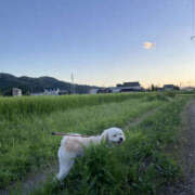 ヒメ日記 2025/08/01 08:35 投稿 ほたる 奥鉄オクテツ東京店（デリヘル市場）