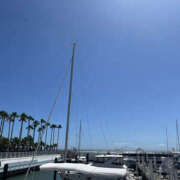 ヒメ日記 2025/08/27 11:00 投稿 ほたる 奥鉄オクテツ東京店（デリヘル市場）