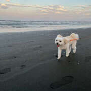 ヒメ日記 2025/09/08 15:00 投稿 ほたる 奥鉄オクテツ東京店（デリヘル市場）