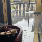 ヒメ日記 2025/11/04 08:00 投稿 ほたる 奥鉄オクテツ東京店（デリヘル市場）