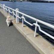 ヒメ日記 2026/01/30 22:00 投稿 ほたる 奥鉄オクテツ東京店（デリヘル市場）