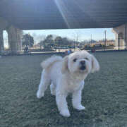 ヒメ日記 2026/03/02 16:00 投稿 ほたる 奥鉄オクテツ東京店（デリヘル市場）