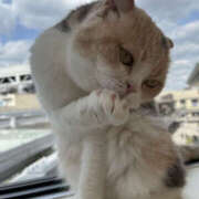 ヒメ日記 2026/04/06 23:30 投稿 ほたる 奥鉄オクテツ東京店（デリヘル市場）