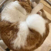 ヒメ日記 2026/04/10 13:35 投稿 ほたる 奥鉄オクテツ東京店（デリヘル市場）