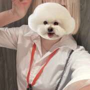 ヒメ日記 2025/11/15 00:19 投稿 あおい vivid cafe