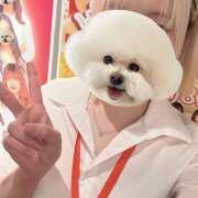 ヒメ日記 2025/11/21 00:20 投稿 あおい vivid cafe