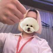 あおい __🐙__ 🔥 vivid cafe