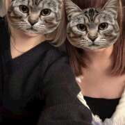 ヒメ日記 2026/03/16 00:42 投稿 あおい vivid cafe