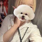 ヒメ日記 2026/04/03 21:55 投稿 あおい vivid cafe