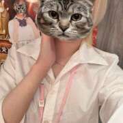 ヒメ日記 2026/04/08 22:49 投稿 あおい vivid cafe