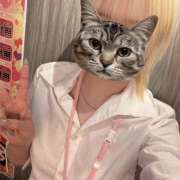 ヒメ日記 2026/04/18 22:04 投稿 あおい vivid cafe