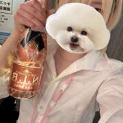 ヒメ日記 2026/05/04 02:33 投稿 あおい vivid cafe
