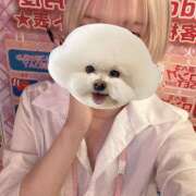 ヒメ日記 2026/06/06 03:32 投稿 あおい vivid cafe