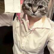 ヒメ日記 2026/07/08 03:54 投稿 あおい vivid cafe