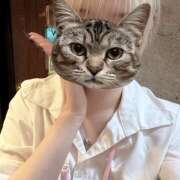 ヒメ日記 2026/07/28 23:23 投稿 あおい vivid cafe