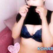 ヒメ日記 2025/04/01 08:58 投稿 こはる ごほうびSPA京都店