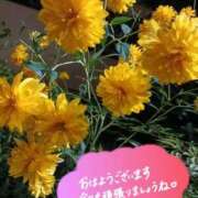 ヒメ日記 2026/08/03 09:15 投稿 なな 池袋おかあさん