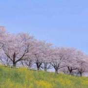 川村まき こんにちは 五十路マダム 新潟店(カサブランカグループ)