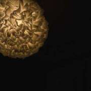 ヒメ日記 2024/12/21 22:04 投稿 ふたば THE・TRY