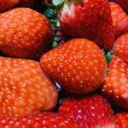 ヒメ日記 2025/01/19 17:51 投稿 ふたば THE・TRY