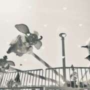 ヒメ日記 2025/04/20 07:20 投稿 ふたば THE・TRY