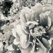 ヒメ日記 2025/05/08 08:57 投稿 ふたば THE・TRY