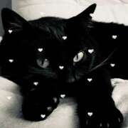 ヒメ日記 2025/06/21 11:14 投稿 ふたば THE・TRY