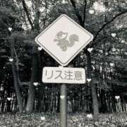 ヒメ日記 2025/07/10 11:21 投稿 ふたば THE・TRY