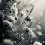 ヒメ日記 2025/07/26 08:46 投稿 ふたば THE・TRY