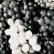 ヒメ日記 2025/08/22 23:55 投稿 ふたば THE・TRY