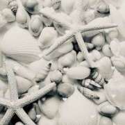 ヒメ日記 2025/09/03 19:36 投稿 ふたば THE・TRY