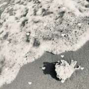 ヒメ日記 2025/09/10 07:00 投稿 ふたば THE・TRY