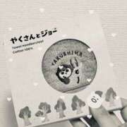 ヒメ日記 2025/11/07 22:35 投稿 ふたば THE・TRY